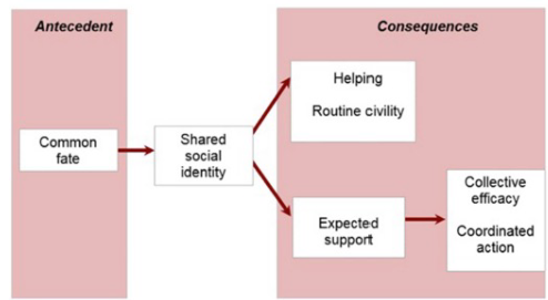 <p>resilience and growth is more likely when an emergent sense of common fate and collective identity develops </p>