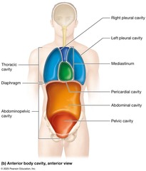 <p>Dispensing the wrong type or dose of medication, or performing 'wrong site' or 'wrong body' procedures.</p>