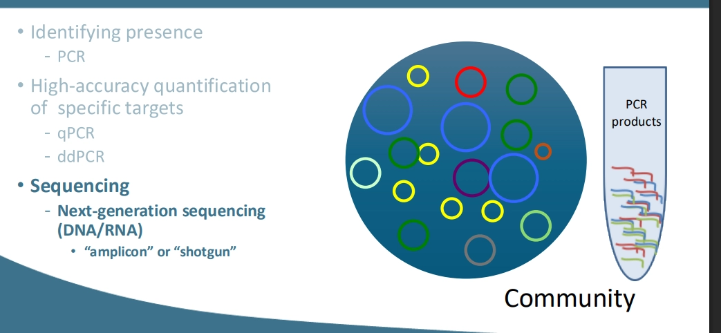 <ul><li><p>shotgun sequencing all genes / genomes in an environment, using no FM target, to provide data on all things present</p></li><li><p>then from this, relying on DNA libraries, genome librariers, known genomes &amp; transcripts of organisms &amp; a variety of other tools - to analyse which organisms are present, what their metabolisms are, so what processes are occurring in the community</p></li><li><p>looking at the environment as a whole rather than a specific target</p></li><li><p>requires more previous knowledge and computing power and time - do note. </p></li></ul><p></p>