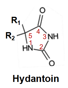 <p>Describe SAR of phenytoin? what type of ring is present?</p>