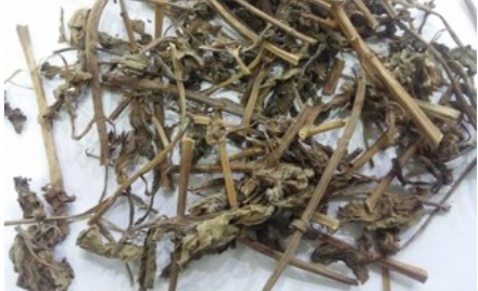 <p>bạc hà nam bộ phận dùng</p>