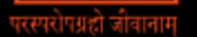 <p>Mutual interdependence of all lives</p>