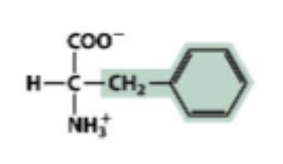<p>Hydrophobic</p>