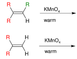 <p>Warm KMnO<sub>4</sub> Cleavage</p>