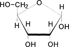 <p>Ribose only has 5 carbons - pentose molecule </p>