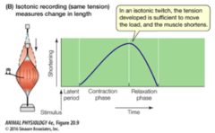 <p>tension is enough to move the load</p>