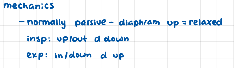 <p>picture it expanding in all directions/shrinking in all directions</p>