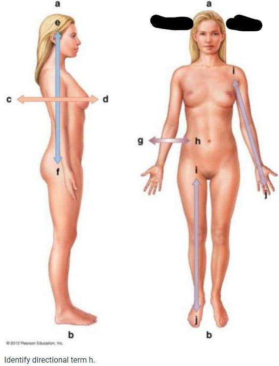 term image