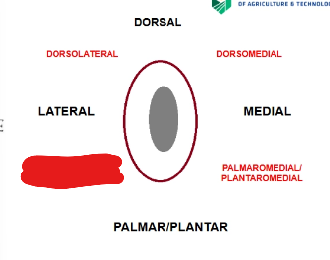 <p>what is it</p>
