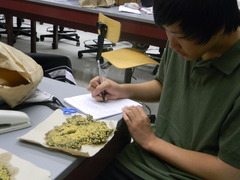 <p>/ˌkʌt.ɪŋ ˈedʒ ˈsaɪən.tɪst/ nhà khoa học tiên phong</p>