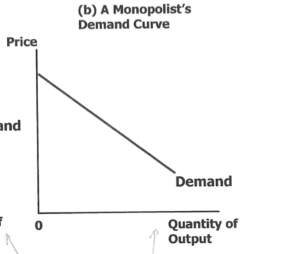 <ul><li><p>enige speler → vraagcurve individuele onderneming  = totale marktvraag </p></li><li><p>zelf P of Q bepalen → winst maximaal:</p><ul><li><p>bepaalt P → markt bepaalt Q</p></li><li><p>bepaalt Q → markt bepaalt P </p></li></ul></li><li><p>totale opbrengst: TR = P x Q </p></li><li><p>P > MR → prijsverlaging om extra te verkopen → meer verkocht maar prijs voor alle eenheden daalt → impact afhankelijk prijselasticiteit vraag </p></li></ul><p></p>