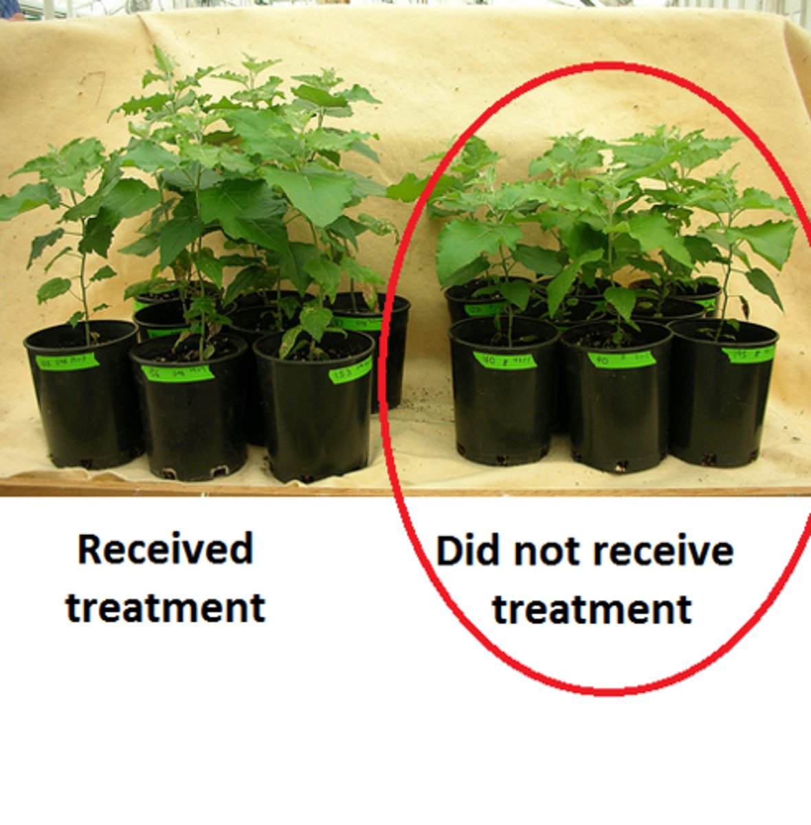 <p>an experimental feature that accounts for the effects of a non-experimental variable.</p>