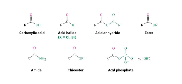 <p>Carboxylic Acid Derivatives</p>