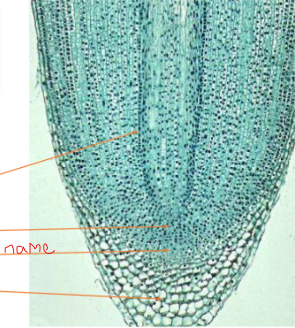 <p>What is this called?</p>