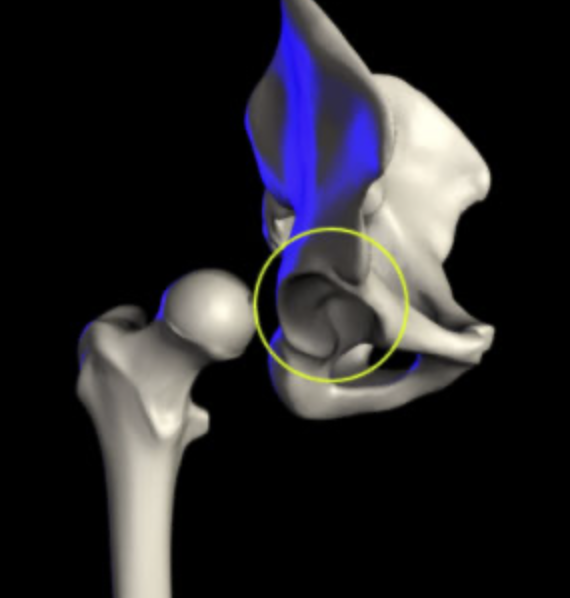 <p>What structure is this?</p>