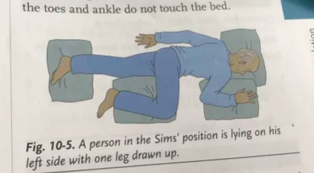 <p>Sims’ position</p>