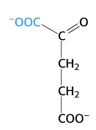 <p>what is this structure</p>