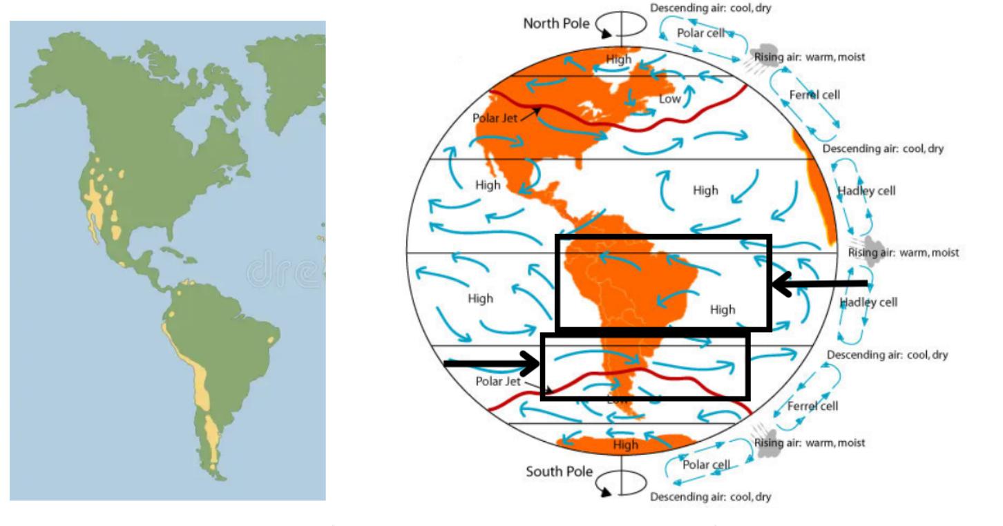 <ul><li><p>Air picks up moisture as it goes along</p></li><li><p>Driven because it’s falling from its atmospheric cell and moved in a circular pattern (Coriolis effect)</p></li><li><p>Wind is moved from East to West (can vary)</p></li><li><p>Deposits moisture on one side of the continent </p></li><li><p>By the time the air reaches the other side of the continent, it is much drier </p></li><li><p>Forming deserts</p></li></ul><p></p>