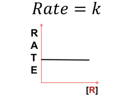 <p>What <strong>RATE LAW</strong> does this graph represent?</p>