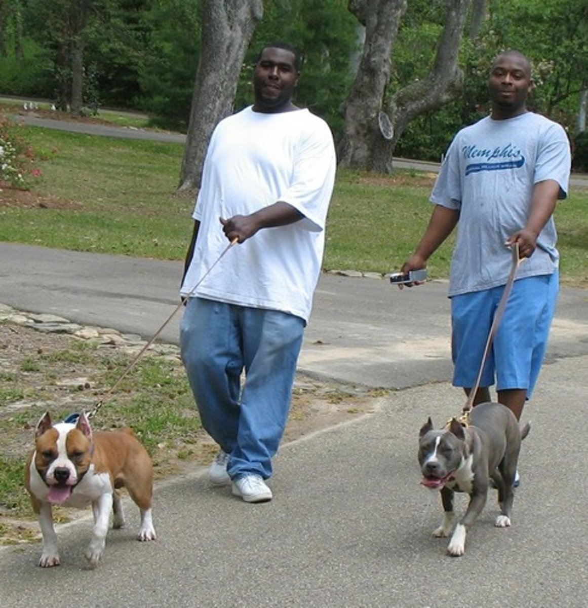 <p>to walk in a slow and relaxed way.</p>