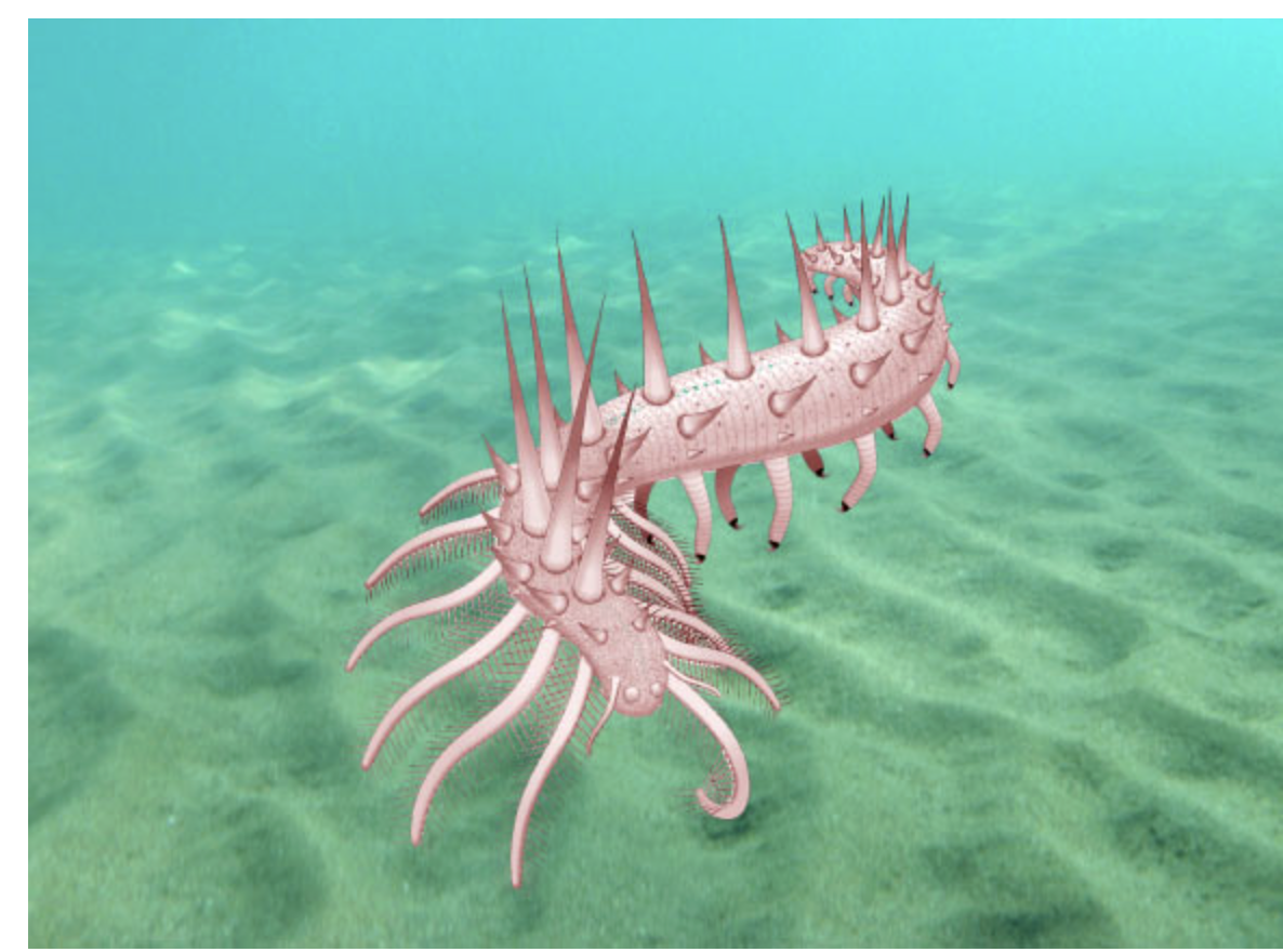 <p>Below is an artist's rendition of <em>Collinsium ciliosum</em>, a fossil from an early Cambrian deposit in China. Yang et al (2015) described and placed the species in the same group as <em>Anomalocaris</em>, an animal that lived during the Cambrian period. Which of the following features does the animal below display that are associated with the diversification of animal forms during this period:</p><p>A. <span>A segmented body plan (indicates <em>Hox</em> gene involvement)</span></p><p><span>B. Transition to terrestrial habitation</span></p><p><span>C. A head and directed movement (for predator-prey chases)</span></p><p><span>D. Hard body parts (such as spines)</span></p>