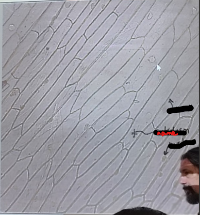 <ol><li><p>Name the part</p></li></ol><p></p>