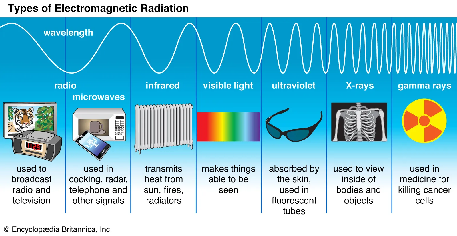 <p>radio waves </p><p>microwaves</p><p>infrared radiation </p><p>visible light </p><p>ultraviolet</p><p>x rays </p><p>gamma rays </p>