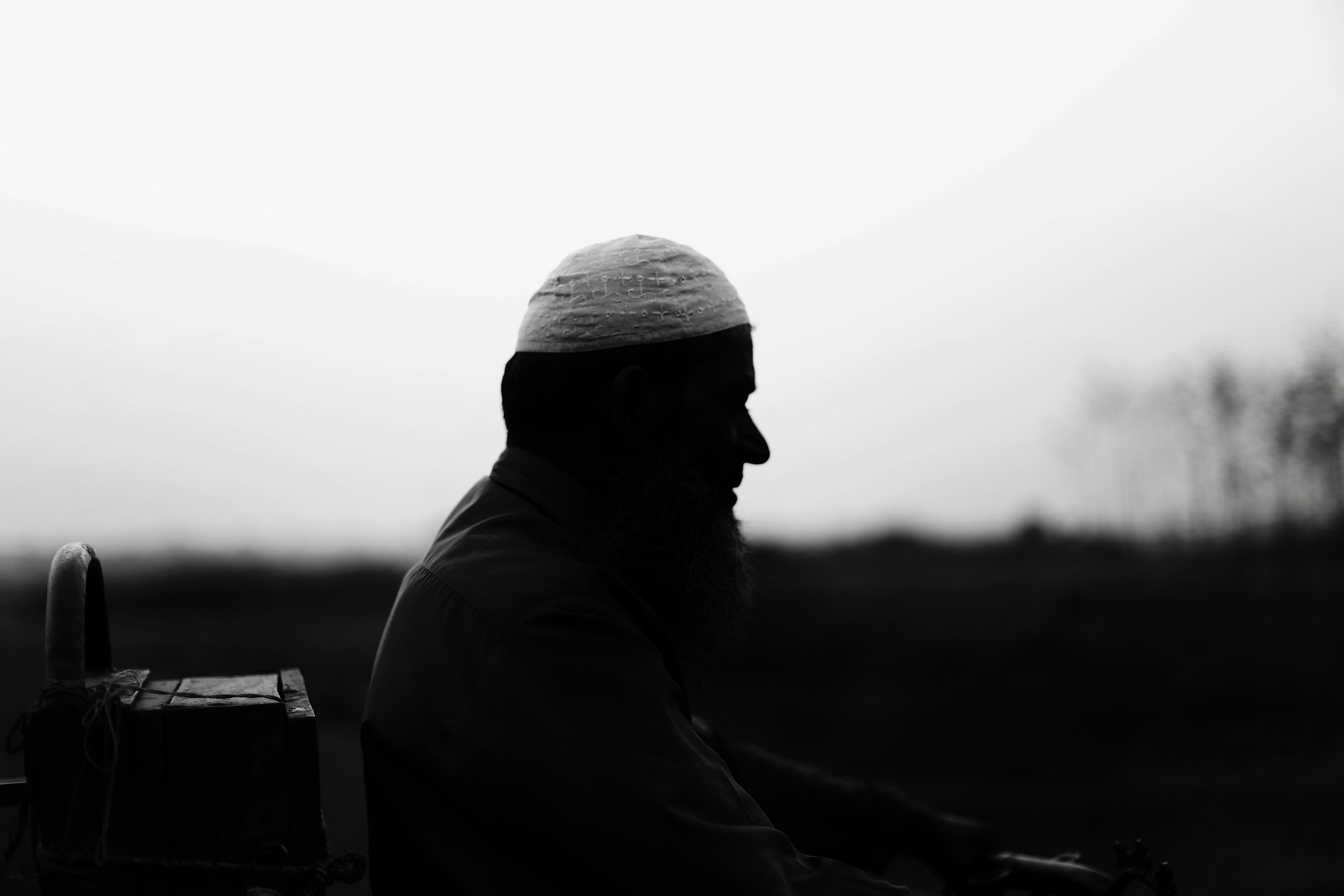 <p><strong>Wisdom</strong></p>