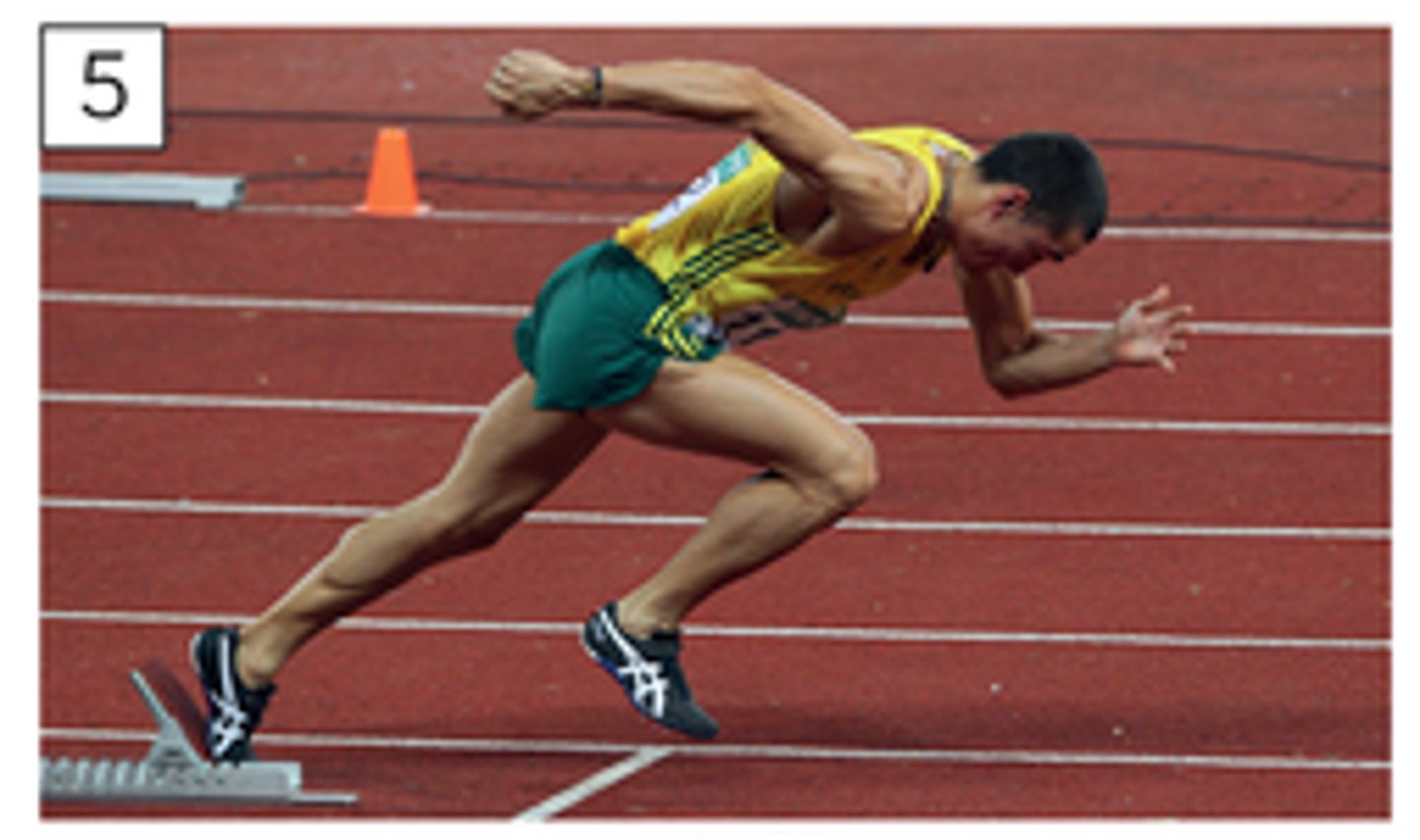<p>to begin a race</p>