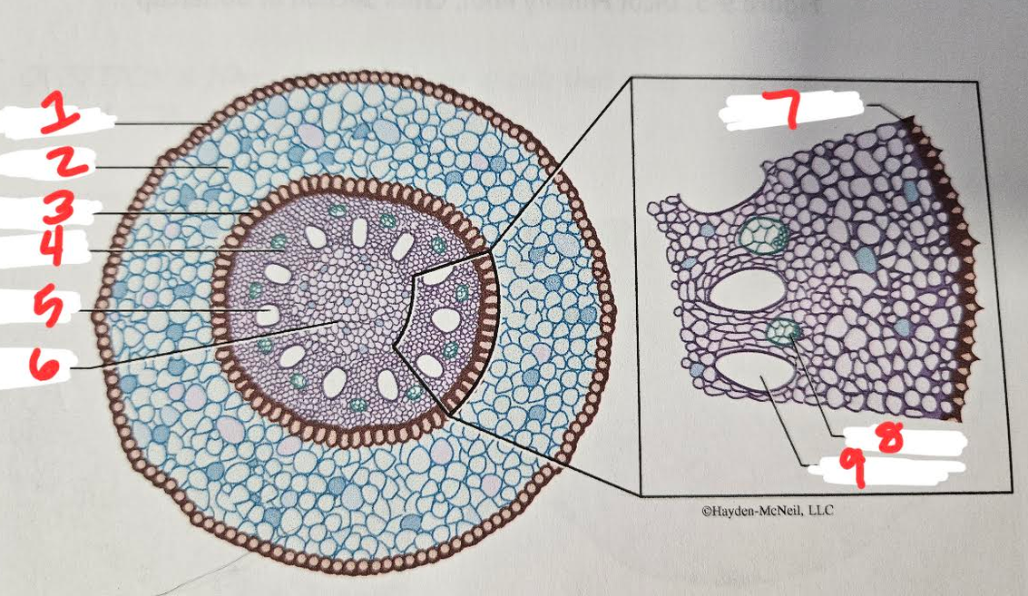 <p>5</p>