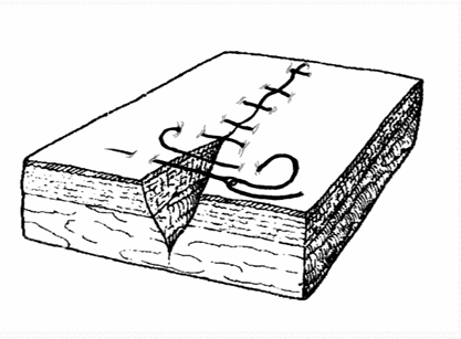 term image