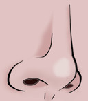 <p>mũi</p>