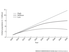 <p>predictions about future population based on trends in fertility, mortality and migration</p>
