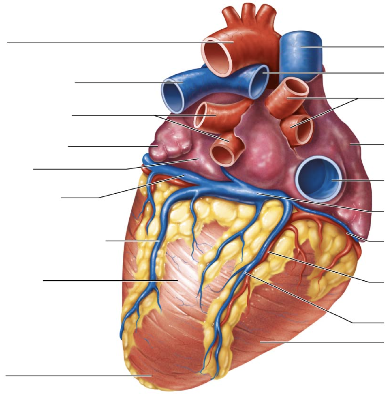 <p>sixth arrow on right</p>