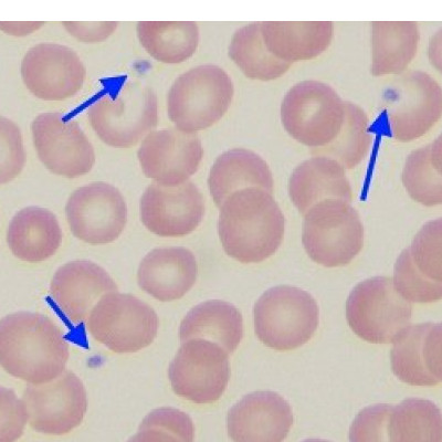 <p>1</p>