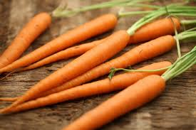 <p><span>carrot</span></p>