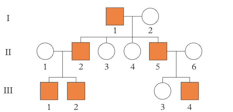 <p>If all affected fathers have affected sons, then the trait is most likely Y-linked </p><p>Example left: Hairy ears</p>