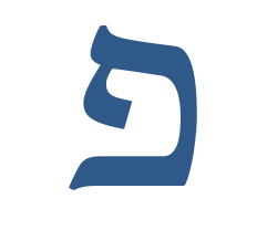 term image