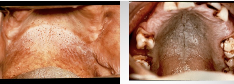 <p><span><span>Conditions?</span></span></p>