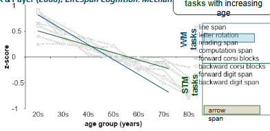 <p>found though performance declines on both STM + WM tasks with age, there is a steeper decline for WM tasks e.g. the R task</p><ul><li><p>implies that WM is an important construct that underpins many aspects of cognition, and therefore acts as a bottleneck for other cognitive capabilities</p></li></ul><p></p>