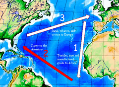<p>The most dangerous leg of the Triangular Trade where millions of people from Africa were kidnapped, sold, and shipped as slaves to the Americas.</p>