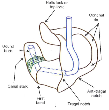 <p>name the structures of a hearing aid</p>