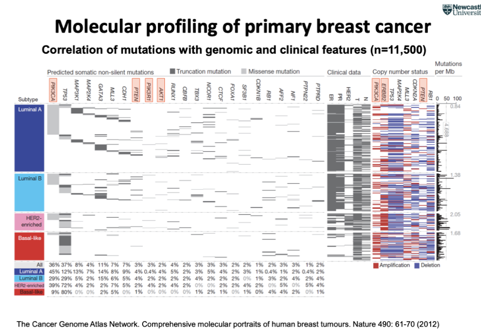 <p>correlations of mutations with genomic and clinical features (n=11,500)</p>