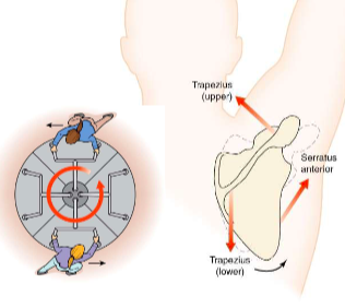 <p>Two or more forces act in different lines of pull or directions (produces CW or CCW rotation)</p>