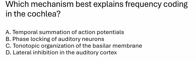 <p>C)</p><p><strong>Tonotopic organization of the basilar membrane</strong> because <strong>frequency (pitch) in the cochlea is primarily encoded by <em>place coding</em></strong>—that is, <strong>where along the basilar membrane the sound vibration is strongest</strong>.</p><p><u>1. The Key Structure: Basilar Membrane</u></p><p><strong>Inside</strong> the <strong>Cochlea</strong> is the <strong>Basilar Membrane</strong>.</p><p>Cochlea = “snail shell.”</p><p>The structure in the inner ear is named this because it <strong>looks like a spiral snail shell</strong>.</p><p>Hair cells sit on this basilar membrane.</p><p>When sound enters the cochlea, it creates <strong>traveling waves in the cochlear fluid</strong>, causing the basilar membrane to vibrate.</p><p><u>2. The Basilar Membrane Is Not Uniform</u></p><p>Different parts of the membrane respond to <strong>different sound frequencies</strong>.</p><table style="min-width: 75px;"><colgroup><col style="min-width: 25px;"><col style="min-width: 25px;"><col style="min-width: 25px;"></colgroup><tbody><tr><th colspan="1" rowspan="1"><p>Region of cochlea</p></th><th colspan="1" rowspan="1"><p>Membrane properties</p></th><th colspan="1" rowspan="1"><p>Frequency detected</p></th></tr><tr><td colspan="1" rowspan="1"><p><strong>Base</strong> (near oval window)</p></td><td colspan="1" rowspan="1"><p>stiff and narrow</p></td><td colspan="1" rowspan="1"><p><strong>high frequencies</strong></p></td></tr><tr><td colspan="1" rowspan="1"><p><strong>Apex</strong> (near helicotrema)</p></td><td colspan="1" rowspan="1"><p>wide and flexible</p></td><td colspan="1" rowspan="1"><p><strong>low frequencies</strong></p></td></tr></tbody></table><p>This arrangement is called <strong>tonotopy</strong>.</p><p><u>3. What “Tonotopic Organization” Means</u></p><p><strong>Etymology</strong></p><ul><li><p><strong>tono-</strong> = tone (sound frequency)</p></li><li><p><strong>-topic</strong> = place or location</p></li></ul><p>So <strong>tonotopic organization = different frequencies are represented at different locations</strong>.</p><p>Each sound frequency <strong>peaks at a specific place along the basilar membrane</strong>.</p><p>Example:</p><ul><li><p>16,000 Hz → base of cochlea</p></li><li><p>200 Hz → apex of cochlea</p></li></ul><p>Hair cells at that location activate the <strong>Cochlear Nerve</strong>, telling the brain which frequency is present.</p>