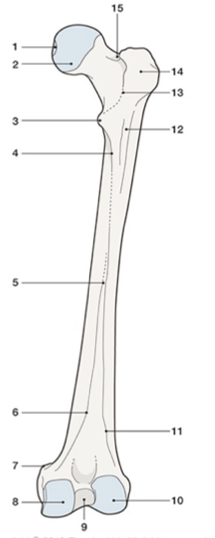 <p>10.</p>
