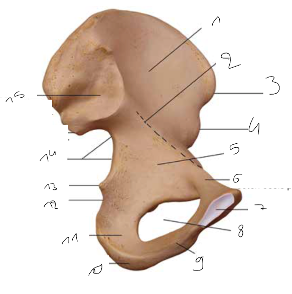 <p>12</p>