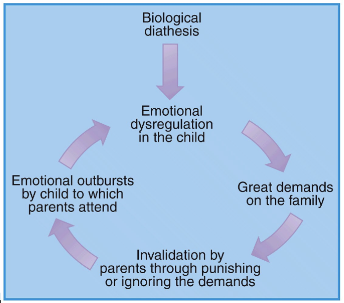 <p>Biological vulnerability -> difficulty controlling emotions + invalidating family environment (person's efforts to communicate feelings are disregarded/punished) -> BPD</p><p>Emotional dysregulation and invalidation interact with each other.</p>