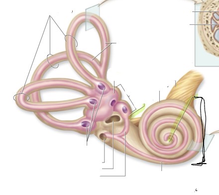 <p>what is this </p>