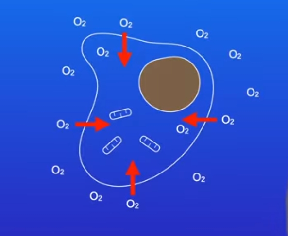 <p>What is happening in this image?</p>